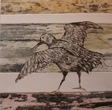 Jeanne Harrison, Red Knot, collograph and etching, 2018